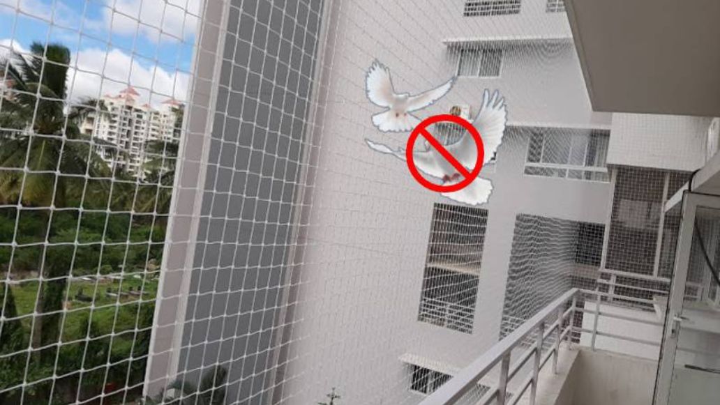 Balcony Pigeon Safety Nets Fixing Near Me, Pigeon Safety Nets Charges, Pigeon Safety Nets Online Price in Mysore