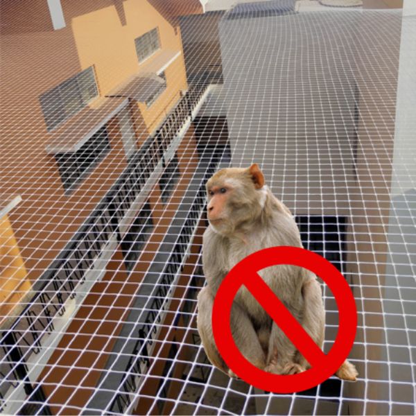 Monkey Safety Nets for Balconies, Monkey Safety Nets Installation Near Me in Mysore