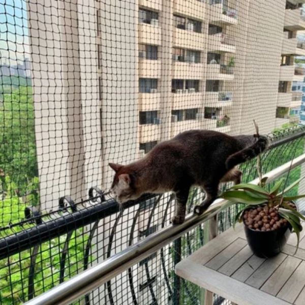 Pets Safety Nets for Balconies, Pets Nets Installation, Pets Safety Nets in Mysore