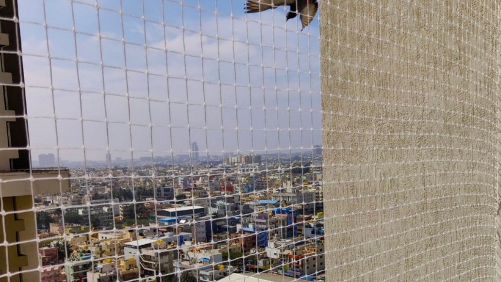 Balcony Pigeon Safety Nets Fixing Near Me, Pigeon Safety Nets Charges, Pigeon Safety Nets Online Price in Mysore