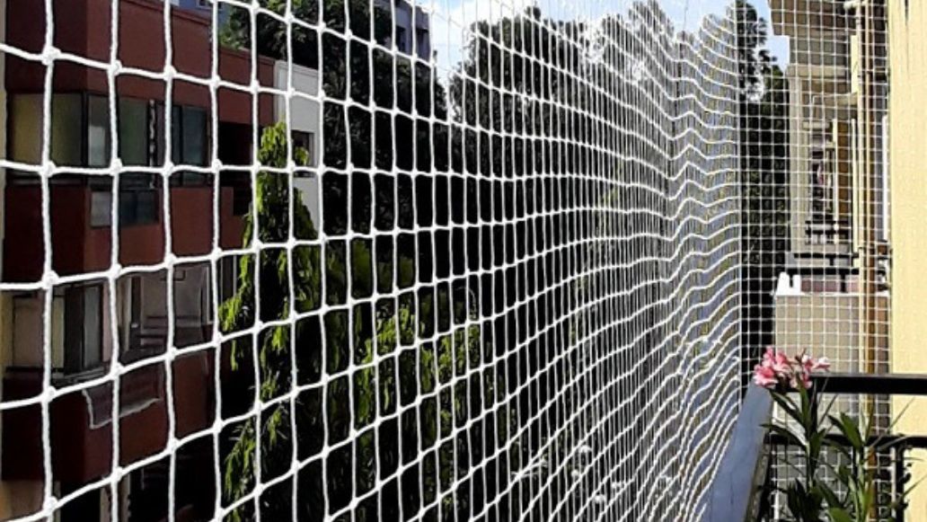 Balcony Pigeon Safety Nets Fixing Near Me, Pigeon Safety Nets Charges, Pigeon Safety Nets Online Price in Mysore