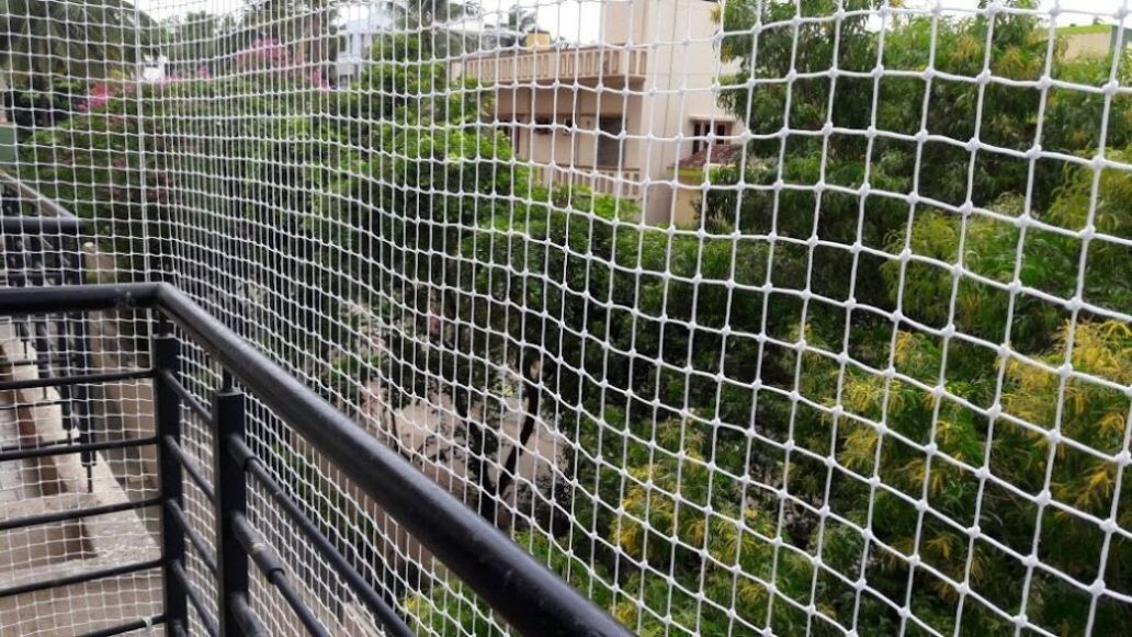 Balcony Pigeon Safety Nets Fixing Near Me, Pigeon Safety Nets Charges, Pigeon Safety Nets Online Price in Mysore