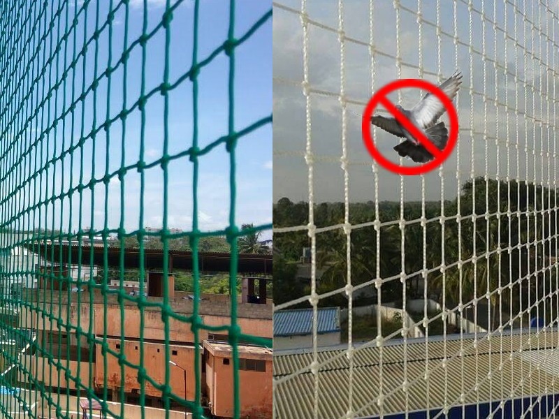 Balcony Pigeon Safety Nets Fixing Near Me, Pigeon Safety Nets Charges, Pigeon Safety Nets Online Price in Mysore