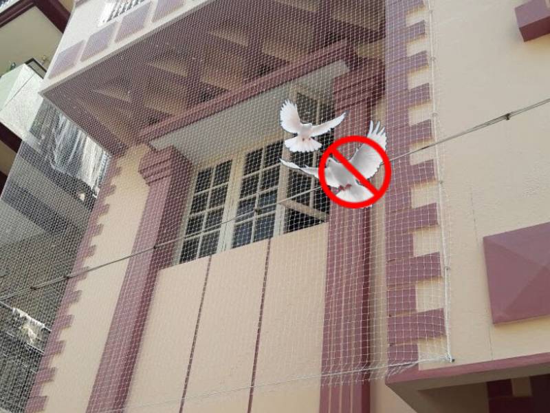 Balcony Pigeon Safety Nets Fixing Near Me, Pigeon Safety Nets Charges, Pigeon Safety Nets Online Price in Mysore