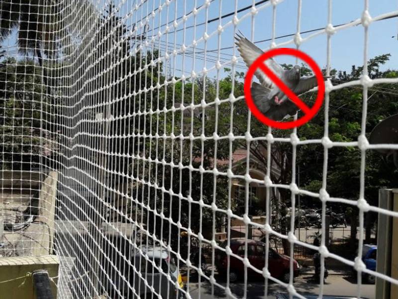 Balcony Pigeon Safety Nets Fixing Near Me, Pigeon Safety Nets Charges,