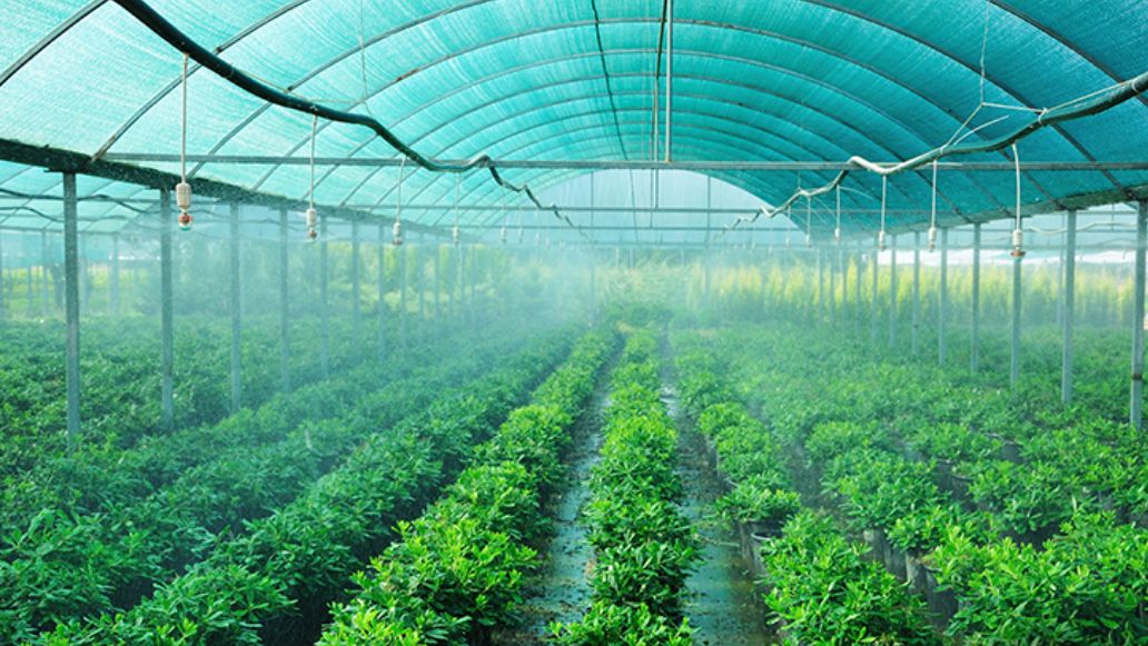 Shade Nets, Shade Nets Installation Near Me in Mysore